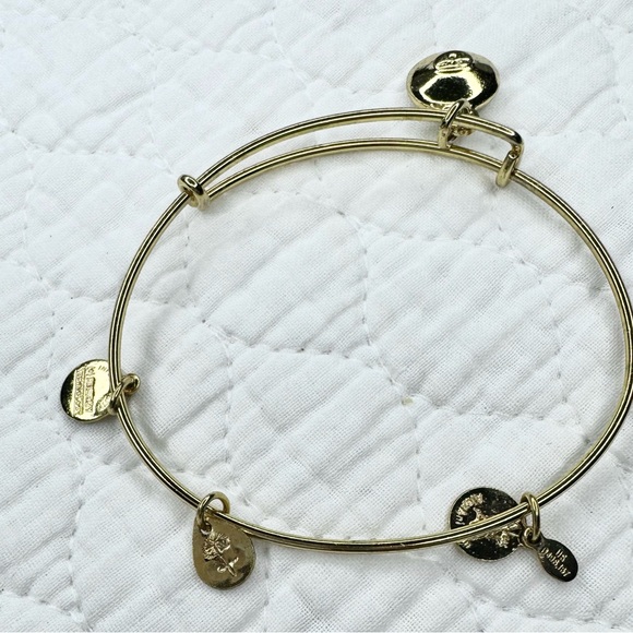 Alex and Ani April Birthstone Charm Bangle - Clear Crystal - Picture 8 of 10
